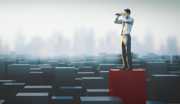 Why Information Taxonomy Must Represent the Landscape of the Business