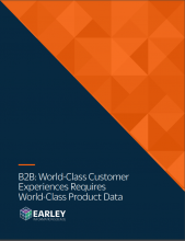 whitepaper-cover-B2B-world-class-cx